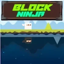 Block Ninja
