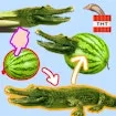 Create Bombardiro Crocodilo