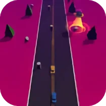 Dual Control Racing