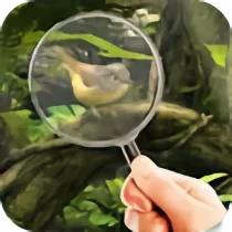 Fairy Woods Hidden Objects