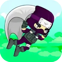Flying Ninja