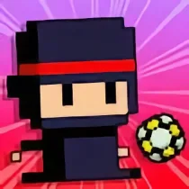 Footbag Fanatic
