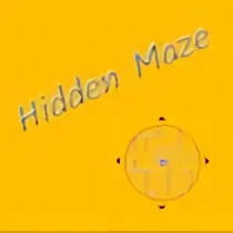 Hidden Maze