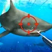 Hunter Underwater Spearfishing