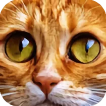 Jigsaw Puzzle Cats
