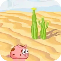 Pig Pig