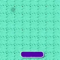 PongColor