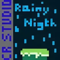 Rainy Night