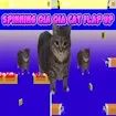 Spinning Oia Oia Cat Flap Up