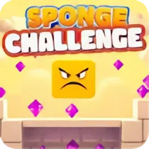 Sponge Challenge